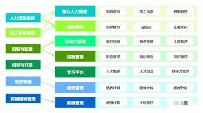 大任人力资源管理系统