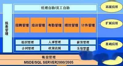 大任人力资源管理系统