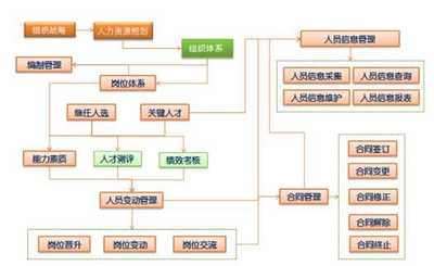 大任人力资源管理系统